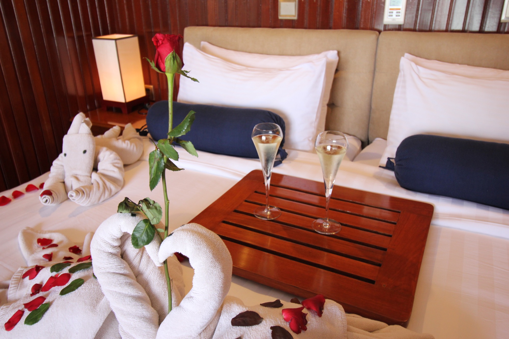 Pandaw RV Mekong Pandaw Cabin 7.jpg